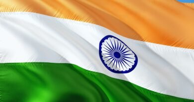 Indian Flag