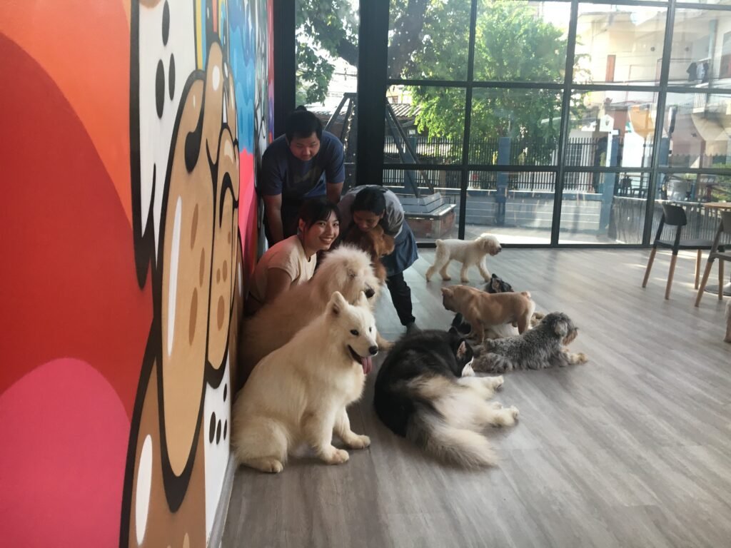 Pattaya Dog Club (free family group photo)