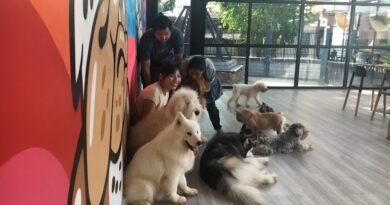 Pattaya Dog Club (free family group photo)
