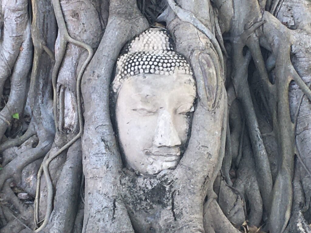 Ayutthaya - Buddha Head in Tree