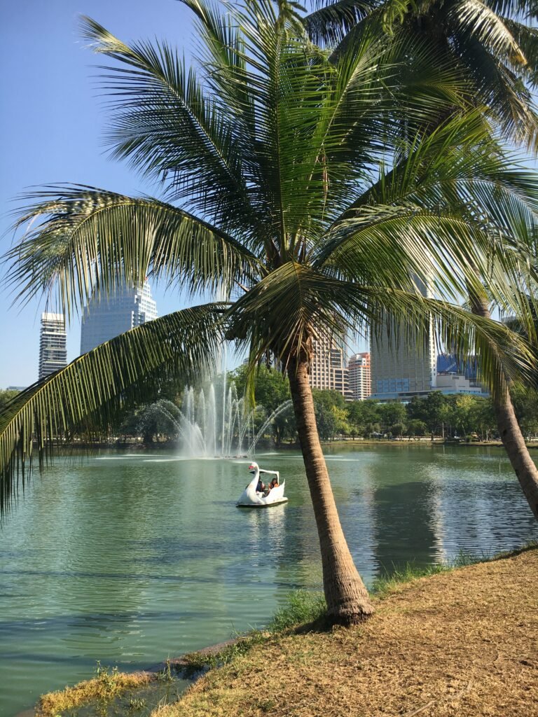 Lumphini Park - Bangkok - Swan Boat
